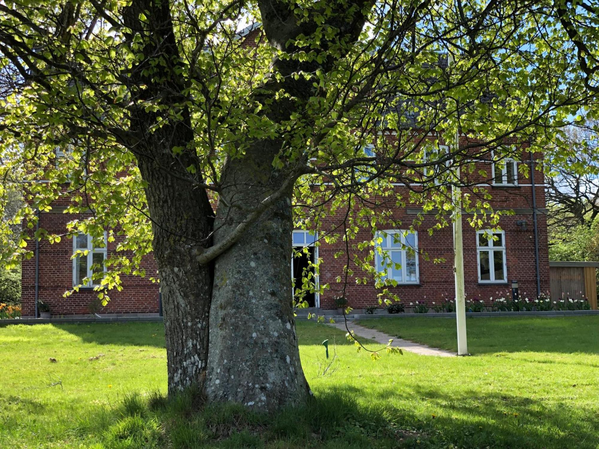 Rolykke Hotel Sæby Kültér fotó